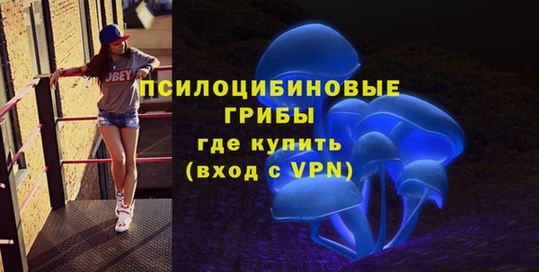 apvp Алексеевка