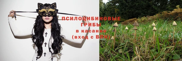 героин Алексин